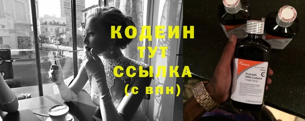 СК Вязьма