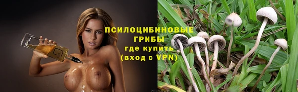 СК Вязьма