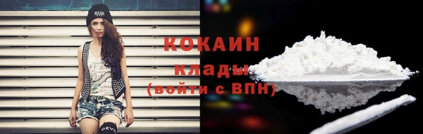 СК Вязьма