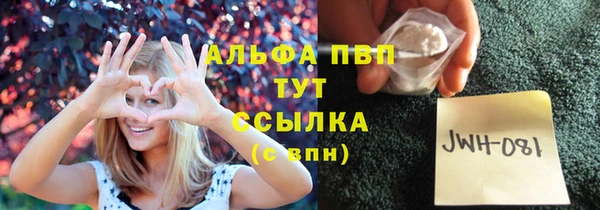 СК Вязьма