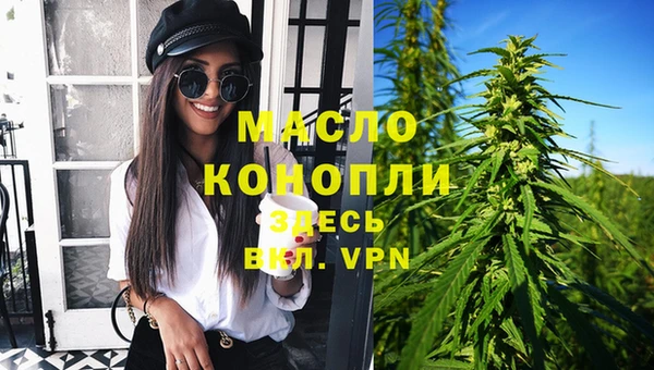 СК Вязьма