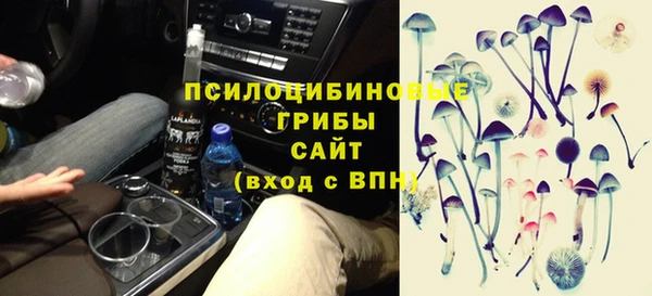 мяу мяу мука Вяземский