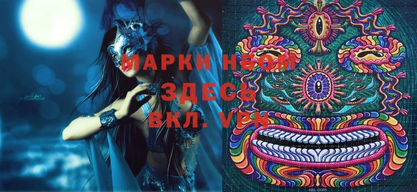 СК Вязьма