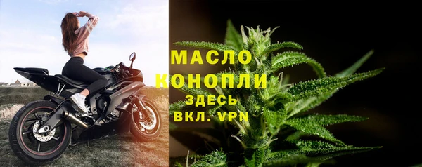 СК Вязьма