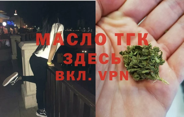 СК Вязьма