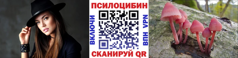 дарнет шоп Таруса Псилоцибиновые грибы ЛСД